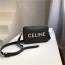 Celine 셀린느 카메라백 C20100